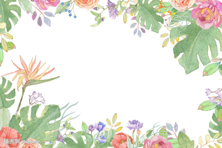 蔬間花語 小清新花卉與蔬菜的治愈系插畫